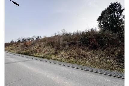 GROßE FLÄCHE MIT POTENZIAL - 173.000,00&nbsp;EUR Kaufpreis, ca.&nbsp; 1.945,00&nbsp;m&sup2; in Welschbillig (PLZ: 54298)