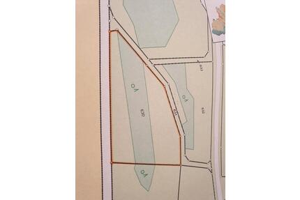 Wiese, Wald, Weide, Steinbruch, Freizeit in 67822 Kalkofen - Winnweiler