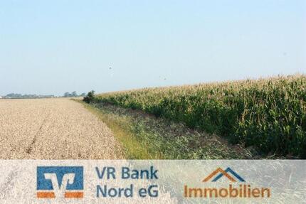 Verpachtung von ca. 8,13 Hektar Landwirtschaftsfläche -Ackerland- - Klanxbüll