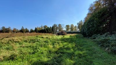 TRAUMHAFTE RUHE, PERFEKTE RÜCKZUGSOASE - Lilienthal