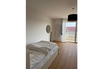 Modern sanierte 1-Zimmer-Wohnung mit Sonnenbalkon in Mrfelden-Walldorf - Mörfelden-Walldorf