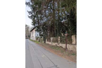 Haus zum Kaufen in Coswig 399.999,00 € 450 m²