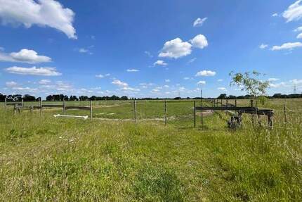 Wunderschönes Fachwerkhaus in ruhiger Lage mit Platz für 4-5 Pferde - Edemissen Voigtholz-Ahlemissen