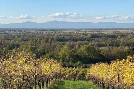 Wohnung zum Mieten in Bad Bellingen 1.280,00 € 73.69 m²