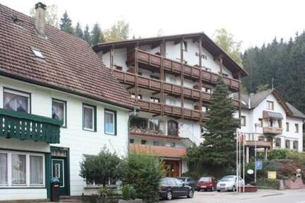 1-Zimmer-Wohnung mit Küche zu vermieten – 300 € warm - Baiersbronn