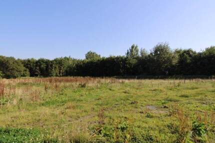 Baugrundstück mit Südausrichtung in Butjadingen-Eckwarden - Butjadingen / Eckwarden Stollhamm