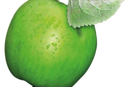 PREISSENKUNG- Grosse ETW in Laineck für Handwerker!!! - Bayreuth