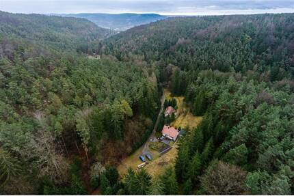 *Liegenschaft in Alleinlage* - ca. 33.000 m² Waldgrundstück in Jena-Ammerbach