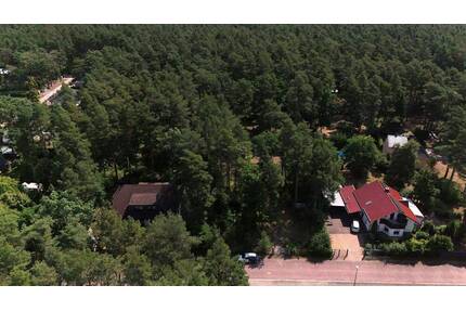 Wohnen im Wald: Idyllisches Baugrundstück nahe des Muldestausees