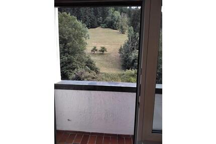 1-Zimmer-Wohnung mit Balkon & traumhaftem Naturblick – ruhig - Schramberg