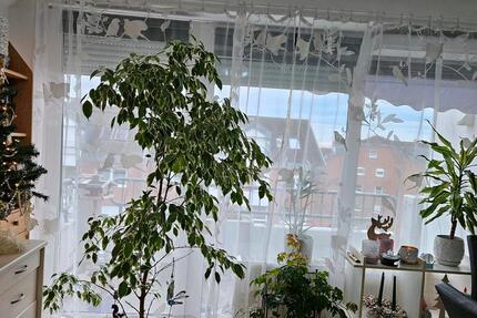 Eine Wohnung zu vermiten - 420,00&nbsp;EUR Kaltmiete, ca.&nbsp; 35,00&nbsp;m&sup2; in Schkeuditz (PLZ: 04435)