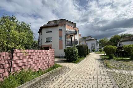 Wohnung zum Kaufen in Pirna 88.000,00 € 42.17 m²
