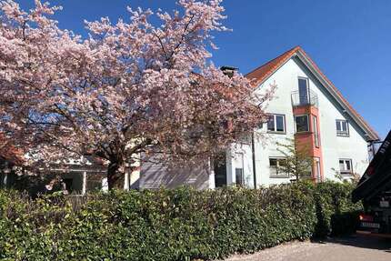 Haus zum Kaufen in Rust 1.150.000,00 € 270 m²