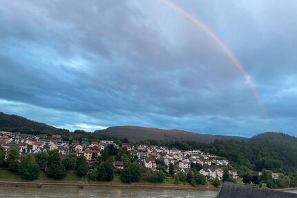 4 Zimmer möbliert Wohnung mit Balkon und Garten zu vermieten - Hirschhorn (Neckar)