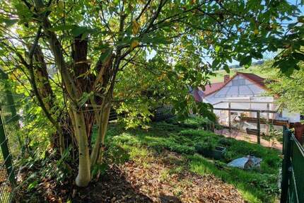 Gemütliches Häuschen mit Scheune und Garten - Lützelbach / Breitenbrunn