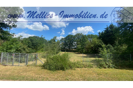 Großes Grundstück in Suhlendorf OT.