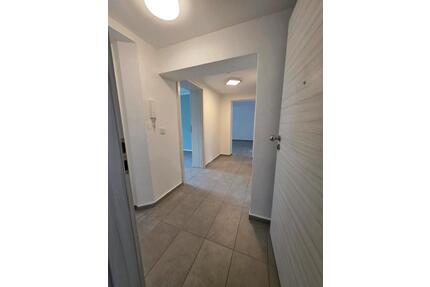 3,5 Zimmer Souterrainwohnung mit Wintergarten und Terrasse - Mannheim Rheinau