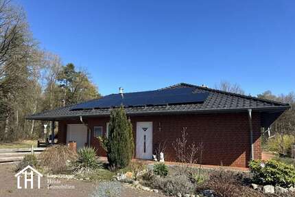Haus zum Kaufen in Munster Trauen 355.000,00 € 123 m² - Munster / Trauen