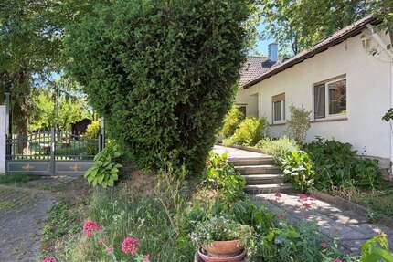 Haus zum Kaufen in Stadecken-Elsheim 819.500,00 € 258 m²