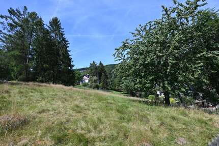Grundstück zu verkaufen in Schmallenberg 75.000,00 € 1003 m²