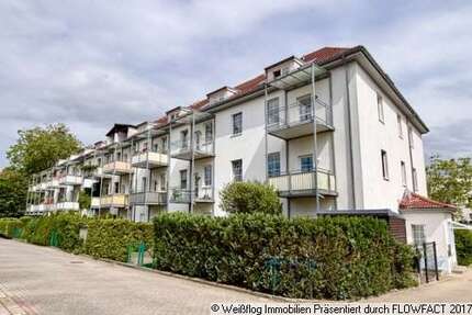 Wohnung zum Mieten in Riesa 440,00 € 70.81 m²