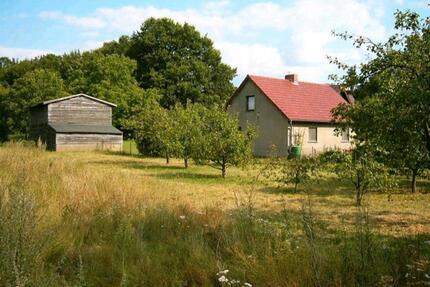 Naturgrundstück mit Haus und eigenem Wald Obstbäumen in Dorflage - Plau am See