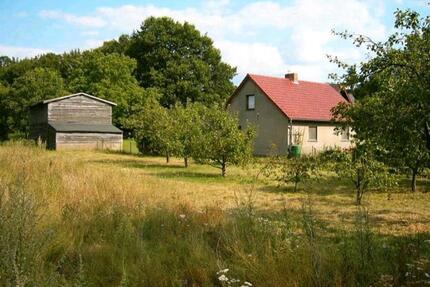 Naturgrundstück mit Haus und eigenem Wald Obstbäumen Scheune - Plau am See