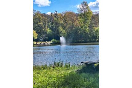 Großes Ferienhaus Heide Park Soltau,Badesee,Grill,Vereine,Gruppen - Visselhövede