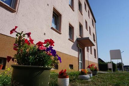 Schöne 1-Raum-Wohnung in Egeln - 359,00&nbsp;EUR Kaltmiete, ca.&nbsp; 33,06&nbsp;m&sup2; in Egeln (PLZ: 39435)