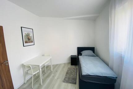 Große Monteurswohnung Ferienwohnung bis 12 Personen - Neukirchen