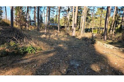 Fundament auf Pachtgrundstück in Gommern, Waldgrundstück, 780qm