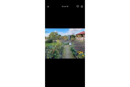 Pachtgarten, Kleingarten, Schrebergarten, Garten, Gartenanlage - Leipzig Südost