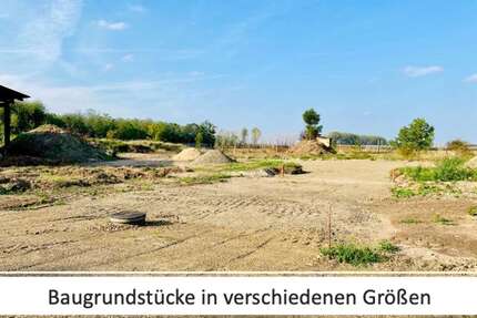 Grundstück zu verkaufen in Güsten 34.800,00 € 870 m²