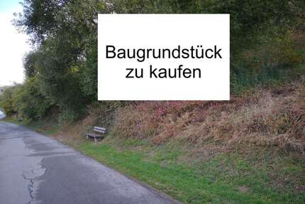 Grundstück zu verkaufen in Schönecken 17.500,00 € 801 m²