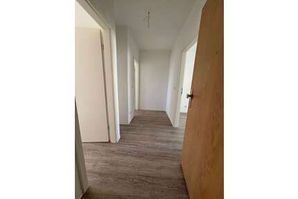 Wohnung zum Mieten in Zwickau 280,00 € 46.32 m²