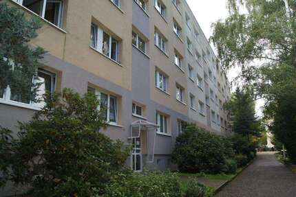 Wohnung zum Mieten in Zeitz 310,00 € 50 m²