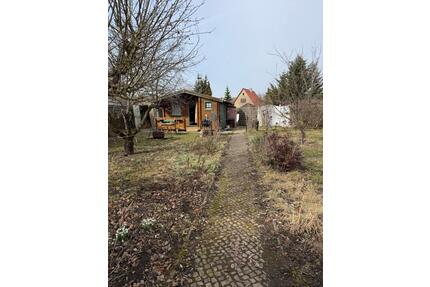 Pachtgarten ab sofort 400 m² mit Laube in Magdeburg abzugeben