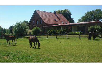 1,5 Zimmer-Wohnung an weibliche Person - Altenmedingen
