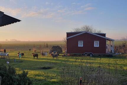 ♥ romantischer nachhaltiger Urlaub ♥ ☀ Tiny House ☀ - Kröslin