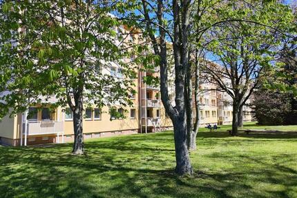Helle 3-Raum-Wohnung in ruhiger Wohnanlage - Chemnitz Adelsberg