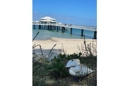 ⚓Ferienwohnung Timmendorfer Strand mit Pool & Bikes
