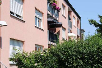 Wohnung zum Kaufen in Kirchheim 549.000,00 € 94 m²
