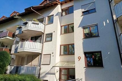 Schöne, helle 3-Zimmer-Wohnung in Freiberg - Freiberg am Neckar