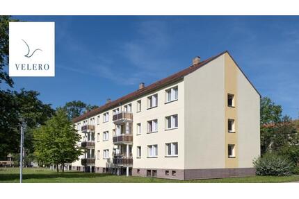 Endlich Platz für dich und deine Pflanzen. - Bernsdorf