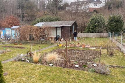 Gepflegter Kleingarten Plön Ochsenkoppel