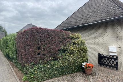 299.000,00&nbsp;EUR Kaufpreis, ca.&nbsp; 202,00&nbsp;m&sup2;&nbsp;Wohnfl&auml;che in Dormagen (PLZ: 41540) Hackenbroich
