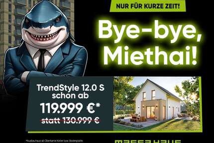 Haus zum Kaufen in Schellerten OT Wendhausen 402.000,00 € 160 m²
