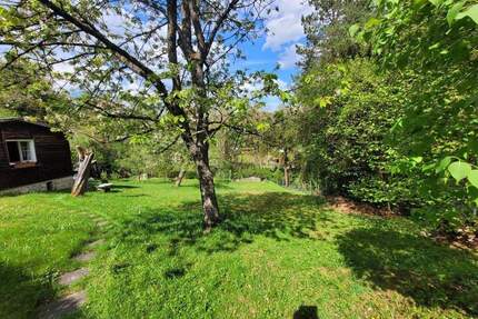 *Ruhe, Sonne und Natur pur!* Bauplatz für EFH am Hersbrucker Michelsberg