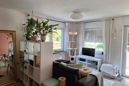 Gemütliche 1-Zimmerwohnung mit sonnigem Balkon am Prinzengarten - Sigmaringen