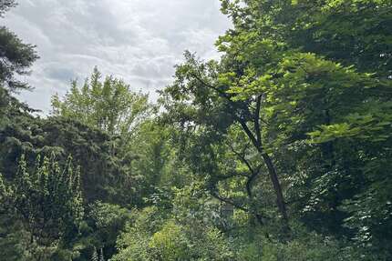 Grundstück zu verkaufen in Berlin 368.000,00 € 1022 m²